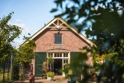 De loods omhuld door groen