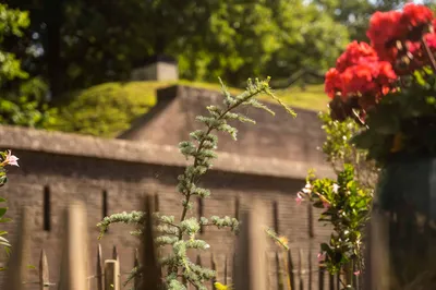 Romantiek en historie vinden elkaar bij Fier Bussum